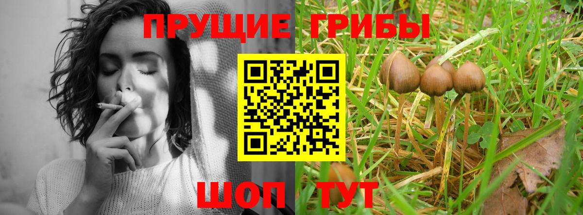 Галлюциногенные грибы ЛСД Рузаевка