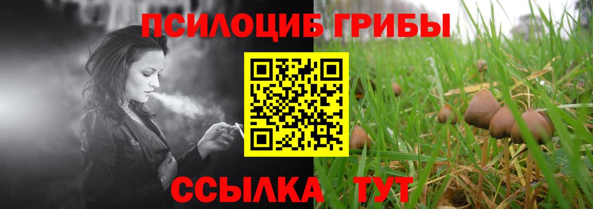 Псилоцибиновые грибы Magic Shrooms  Вход с VPN  Рузаевка 